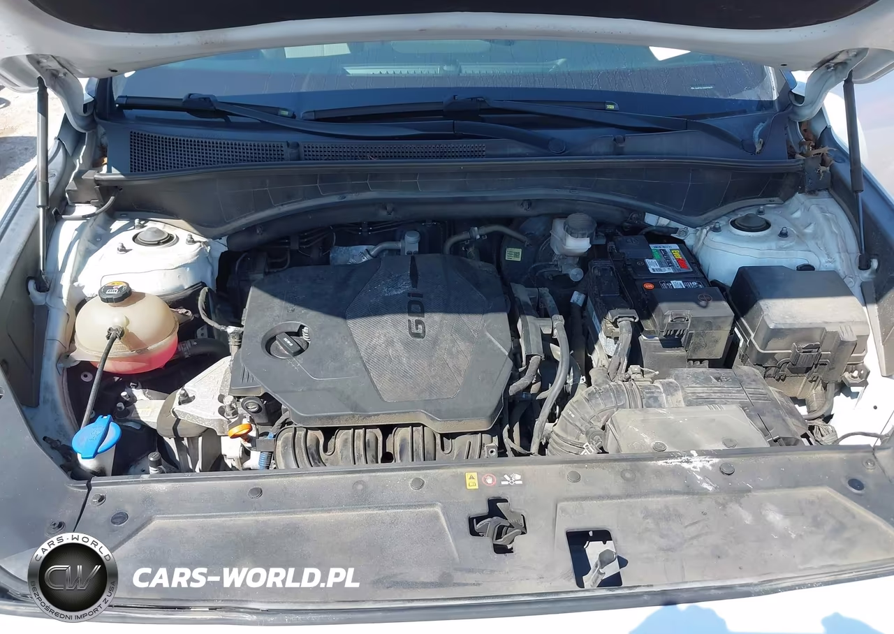 2021 Hyundai Santa Fe Se VIN:5NMS14AJ4MH338639 - 10