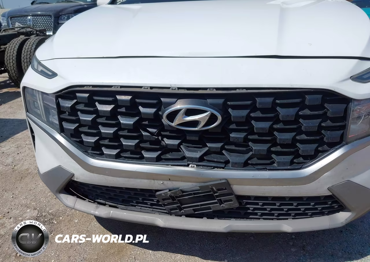 2021 Hyundai Santa Fe Se VIN:5NMS14AJ4MH338639 - 6