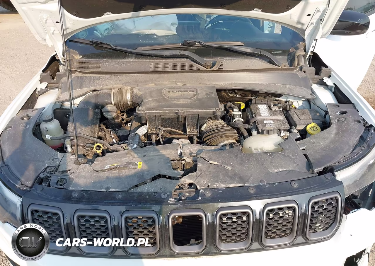 2023 Jeep Compass High Altitude 4X4 VIN:3C4NJDCN6PT502753 - 10