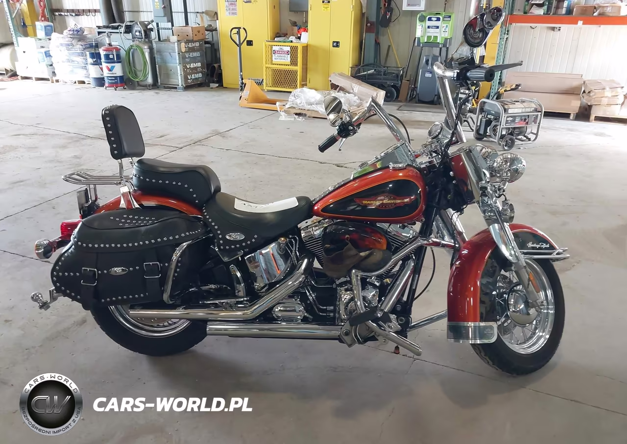 2005 Harley-Davidson Flstci VIN:1HD1BWB125Y089262 - 11