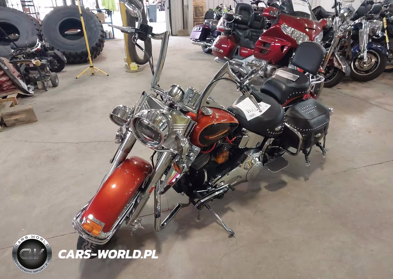 2005 Harley-Davidson Flstci VIN:1HD1BWB125Y089262 - 2