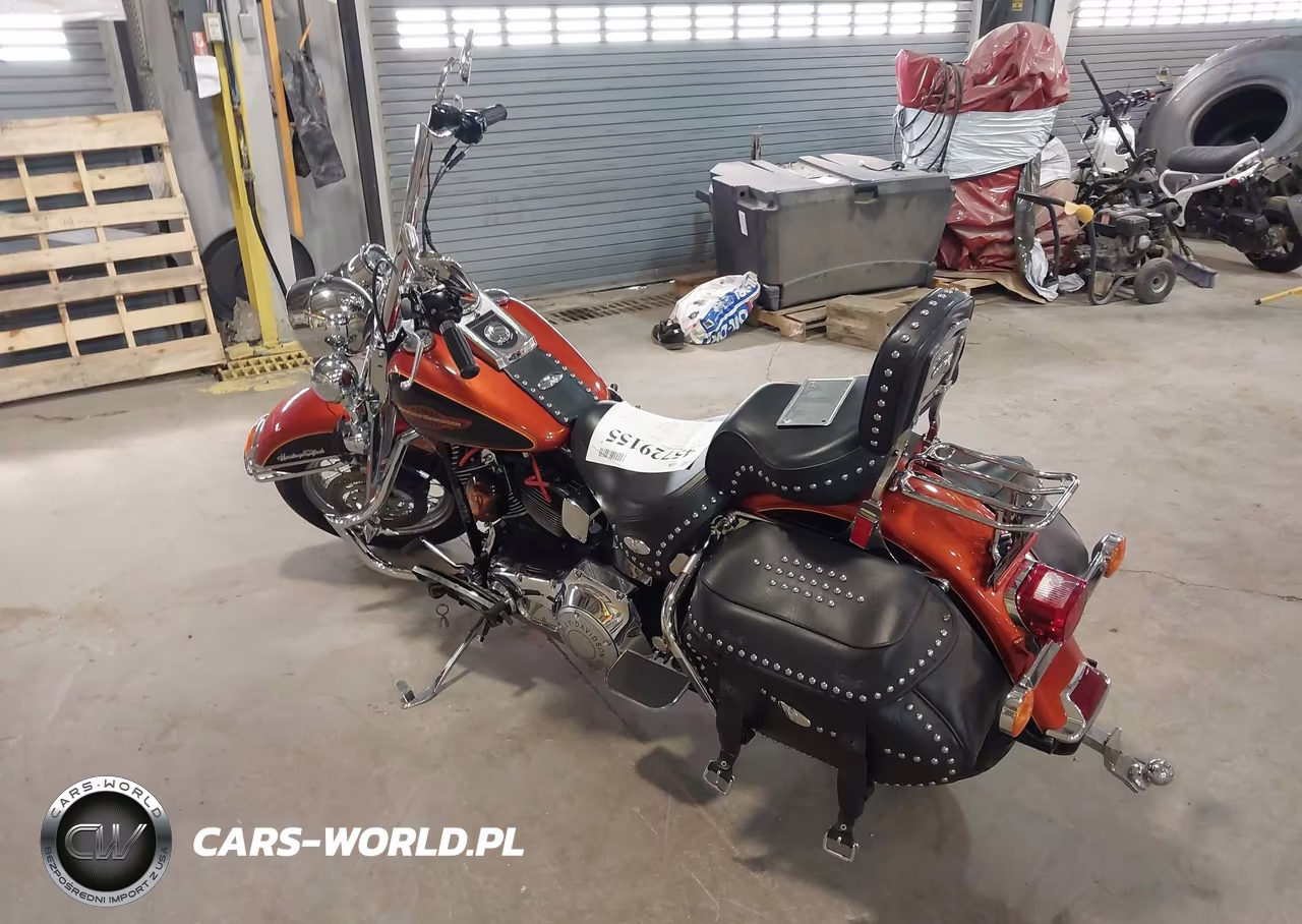 2005 Harley-Davidson Flstci VIN:1HD1BWB125Y089262 - 3