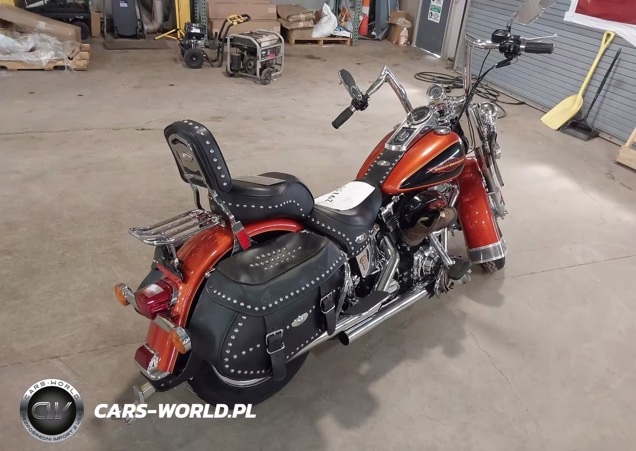 2005 Harley-Davidson Flstci VIN:1HD1BWB125Y089262 - 4