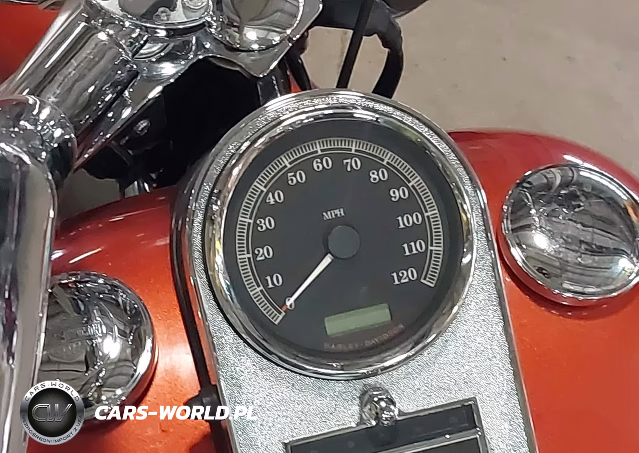 2005 Harley-Davidson Flstci VIN:1HD1BWB125Y089262 - 7
