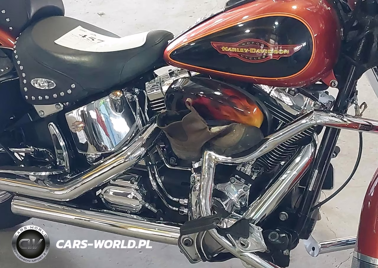 2005 Harley-Davidson Flstci VIN:1HD1BWB125Y089262 - 8