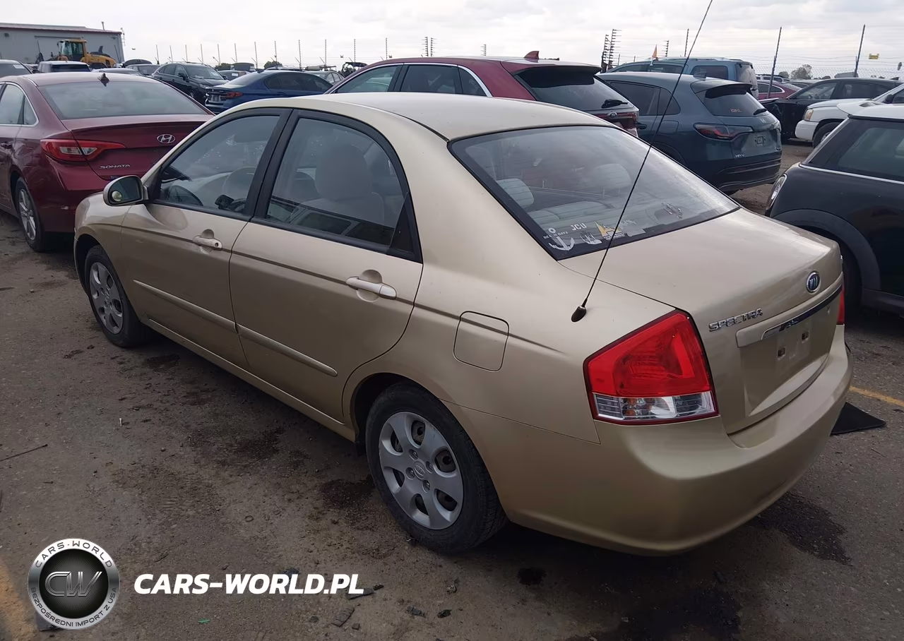 2009 Kia Spectra Ex VIN:KNAFE222295659782 - 3