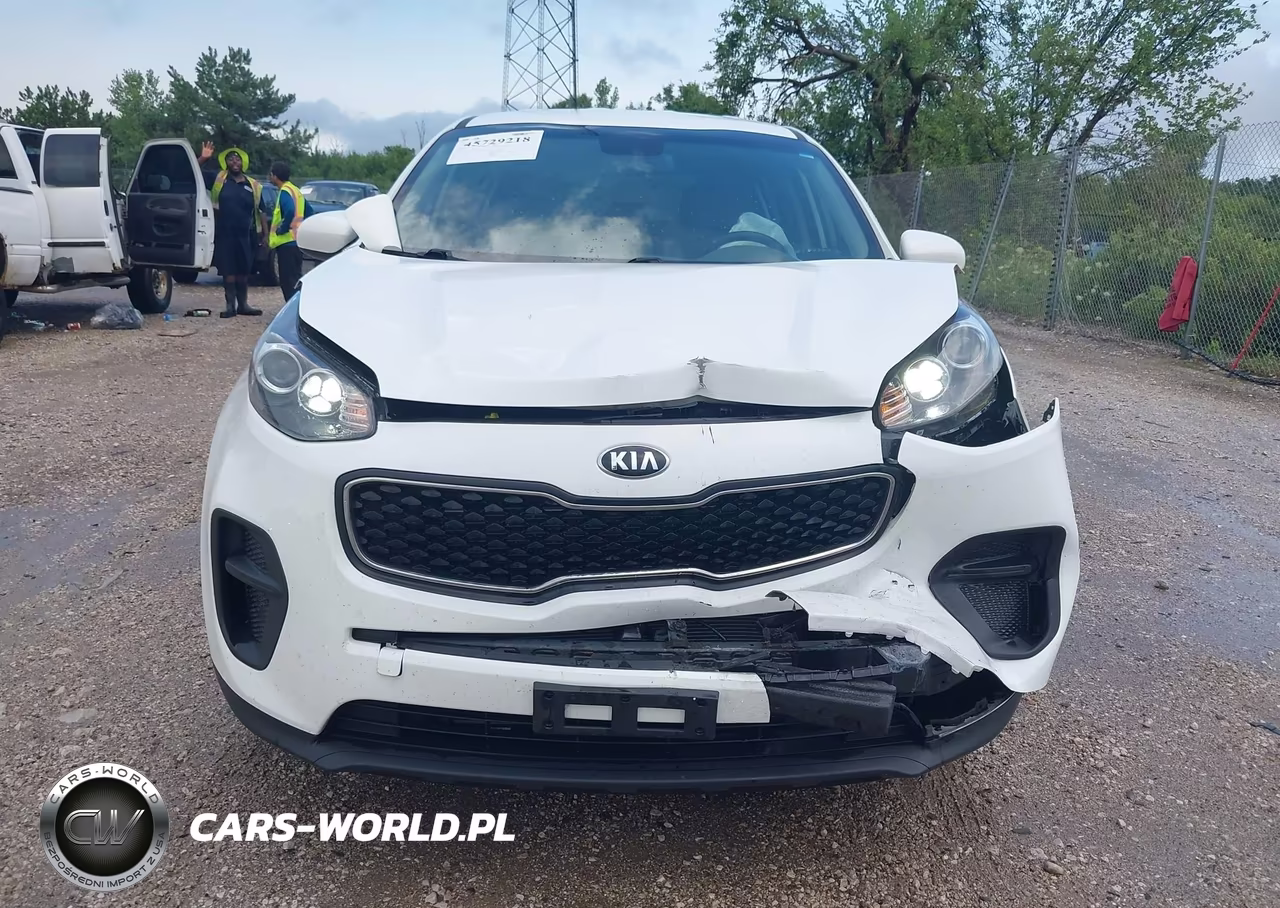 2017 Kia Sportage Lx VIN:KNDPM3AC2H7148604 - 12