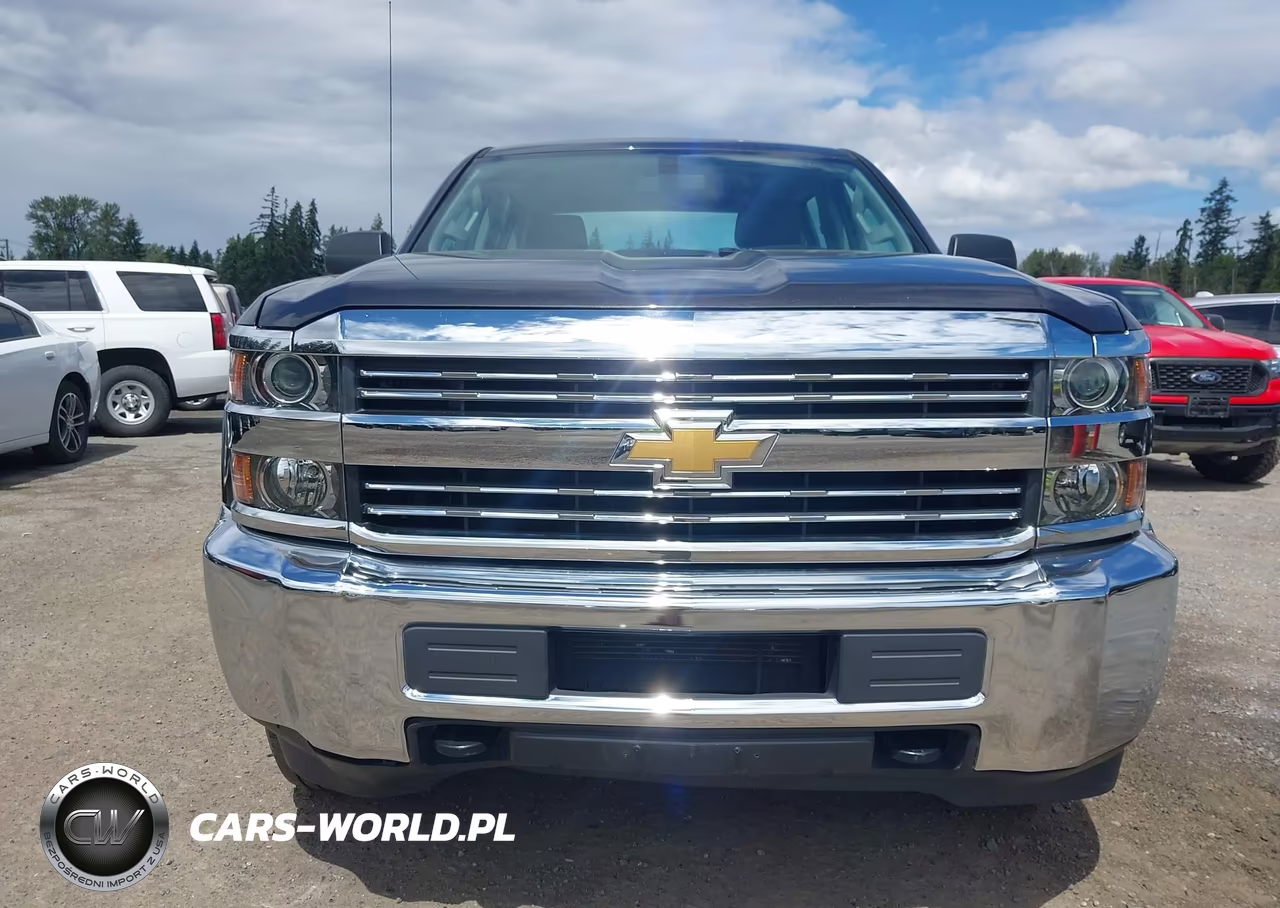 2016 Chevrolet Silverado 2500Hd Wt VIN:1GC1KUEG8GF231618 - 12