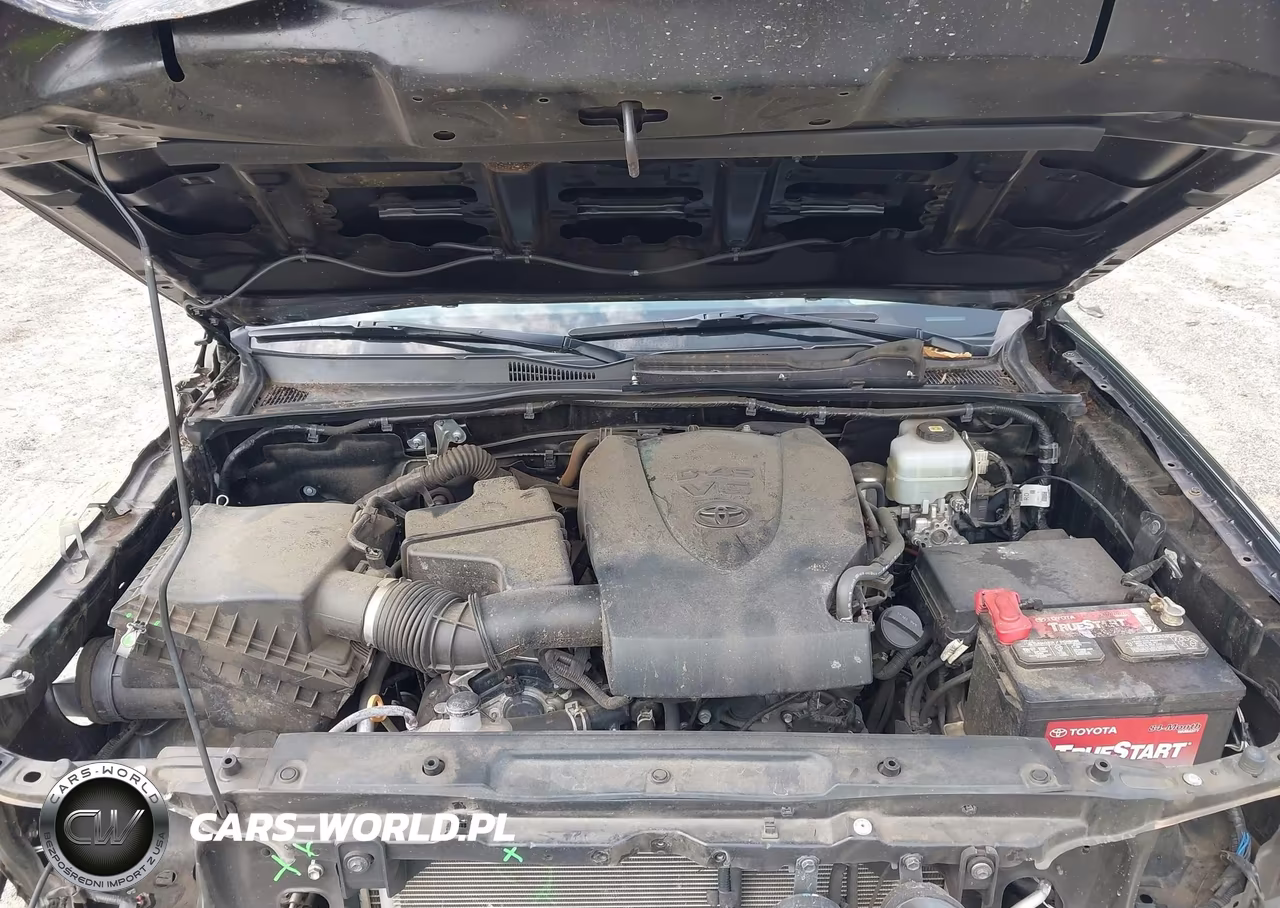 2021 Toyota Tacoma Trd Pro VIN:5TFCZ5AN1MX250662 - 10