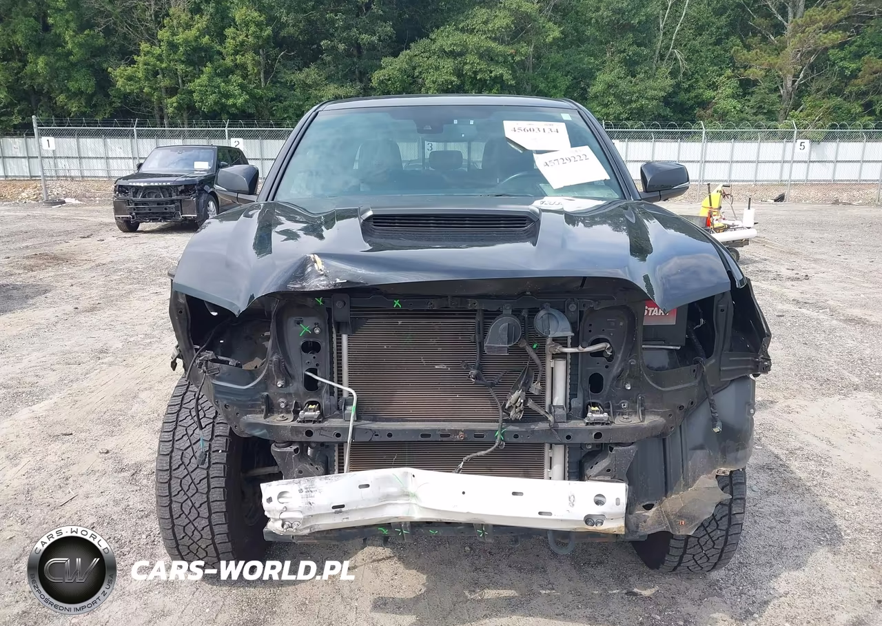 2021 Toyota Tacoma Trd Pro VIN:5TFCZ5AN1MX250662 - 13