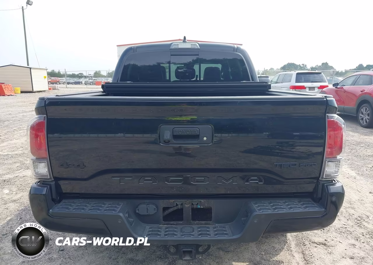 2021 Toyota Tacoma Trd Pro VIN:5TFCZ5AN1MX250662 - 17
