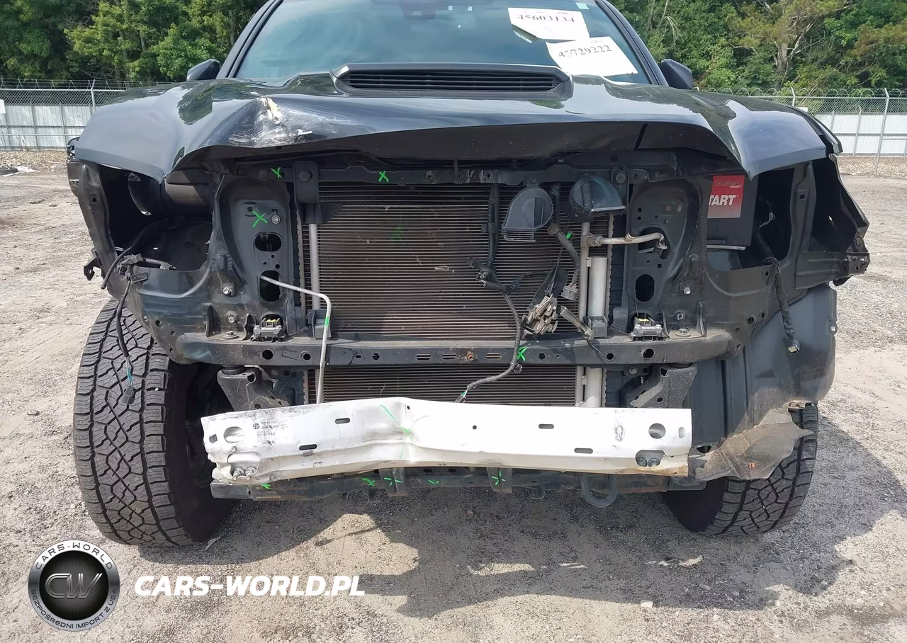 2021 Toyota Tacoma Trd Pro VIN:5TFCZ5AN1MX250662 - 6