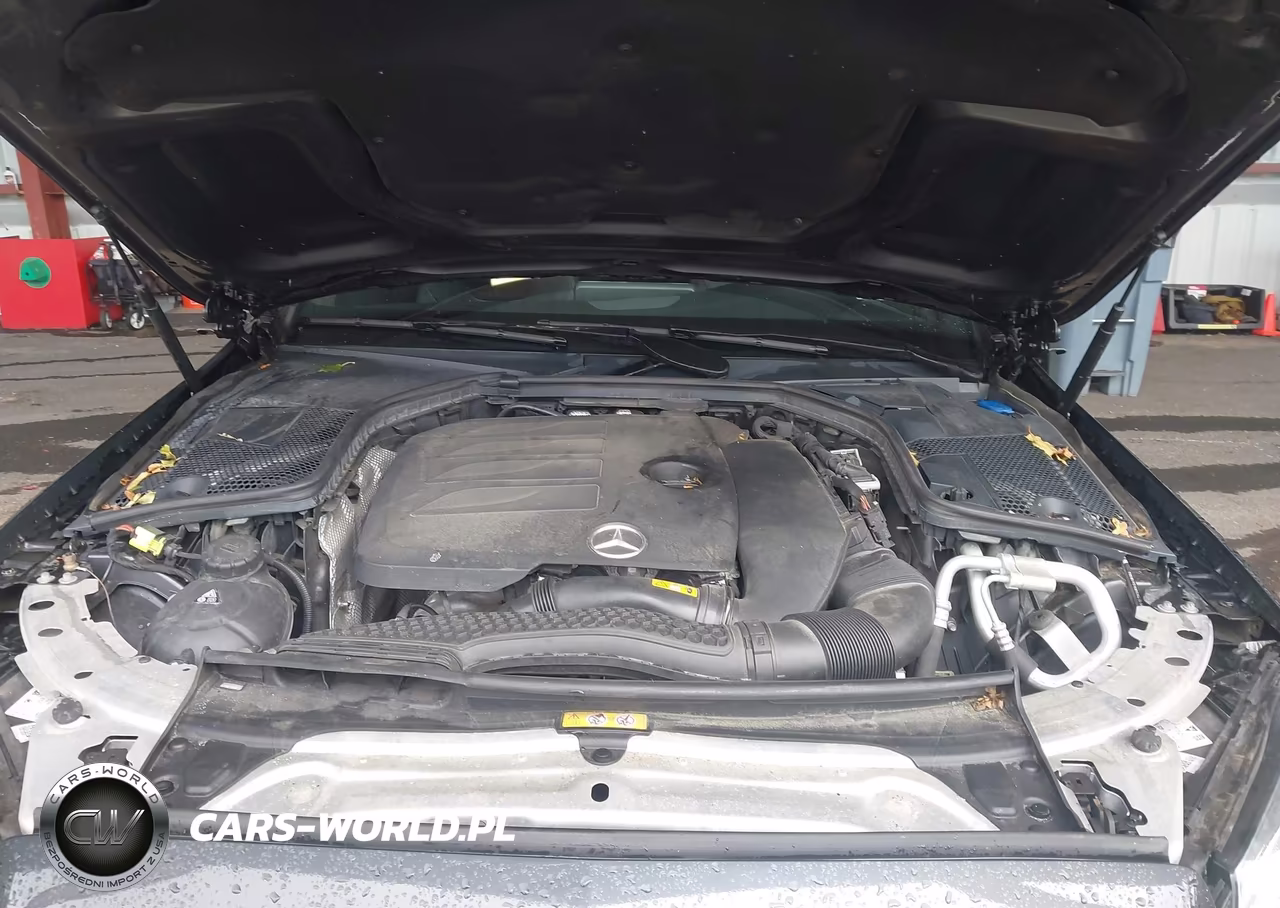2019 Mercedes-Benz C 300 4Matic VIN:WDDWJ8EB1KF780970 - 10
