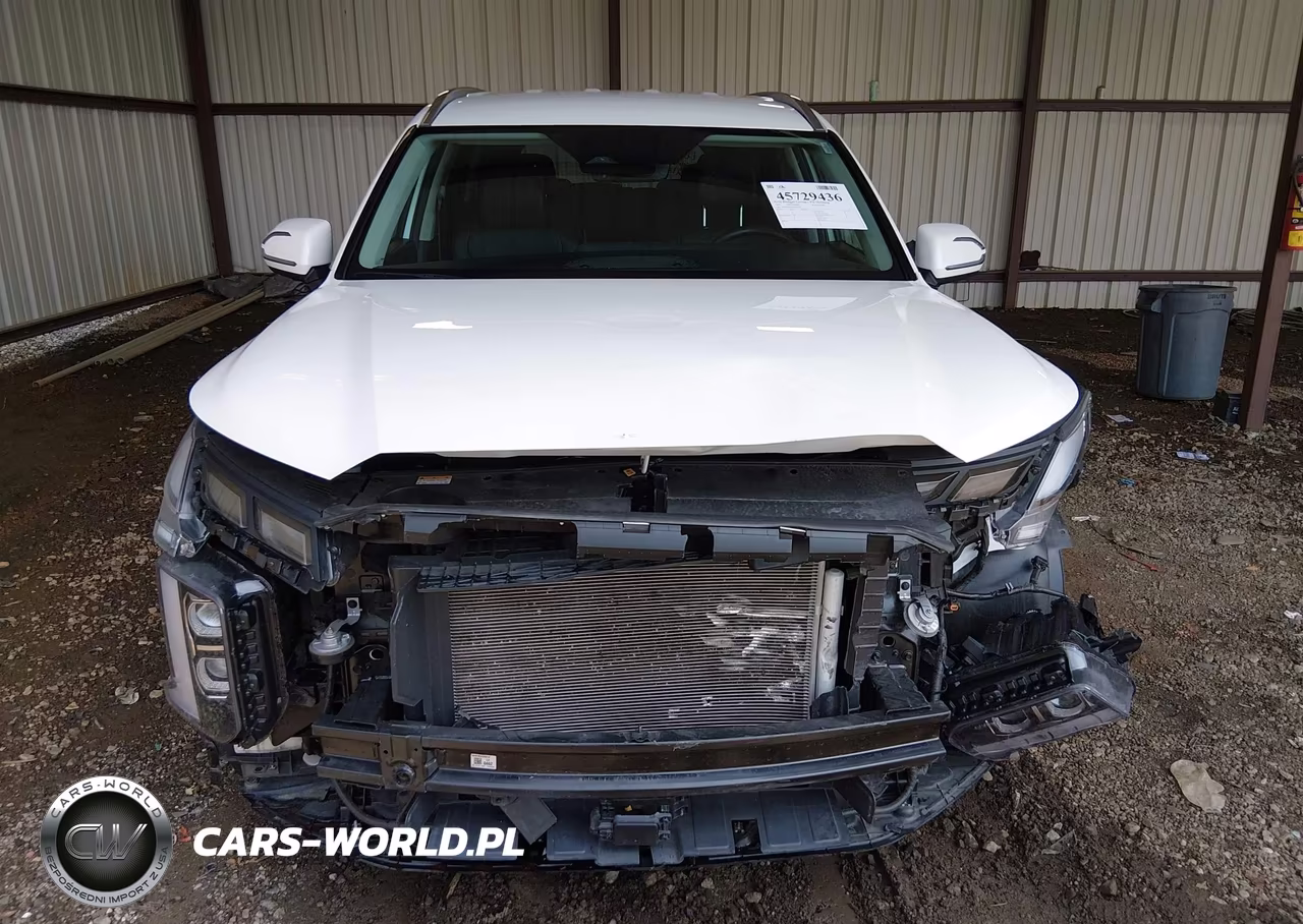 2025 Hyundai Palisade Sel VIN:KM8R2DGE0SU940185 - 13