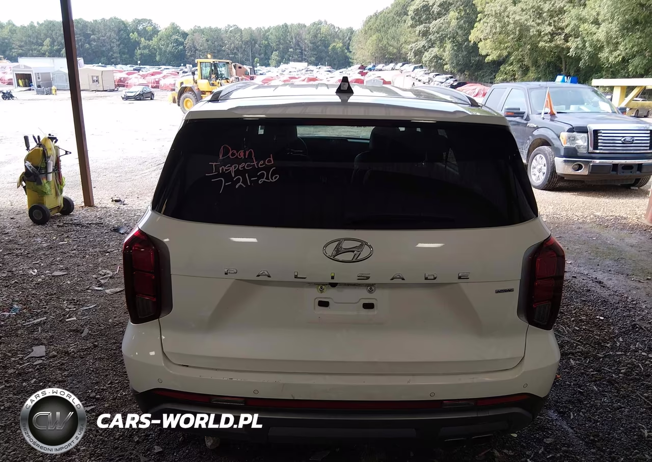 2025 Hyundai Palisade Sel VIN:KM8R2DGE0SU940185 - 17