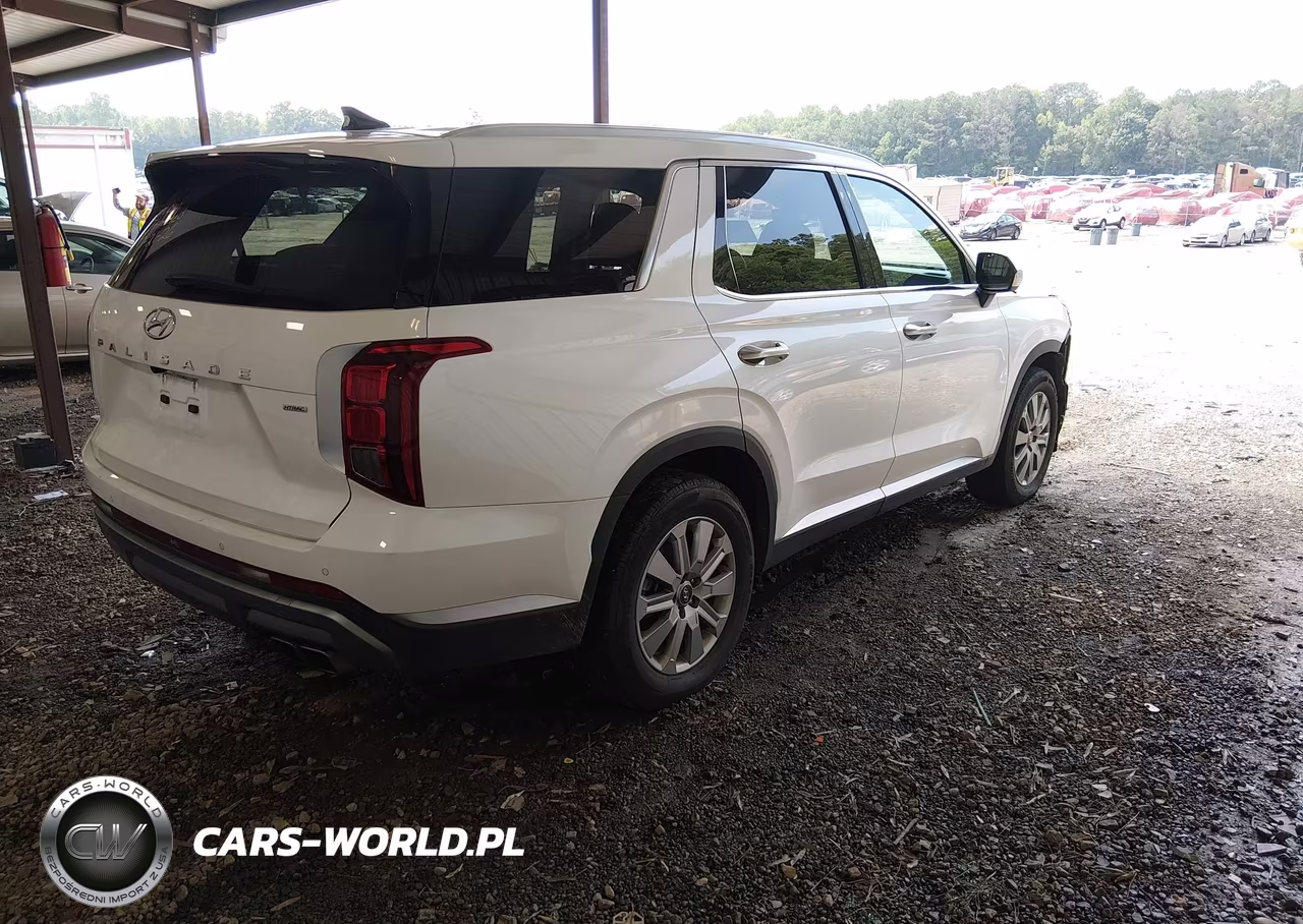 2025 Hyundai Palisade Sel VIN:KM8R2DGE0SU940185 - 4