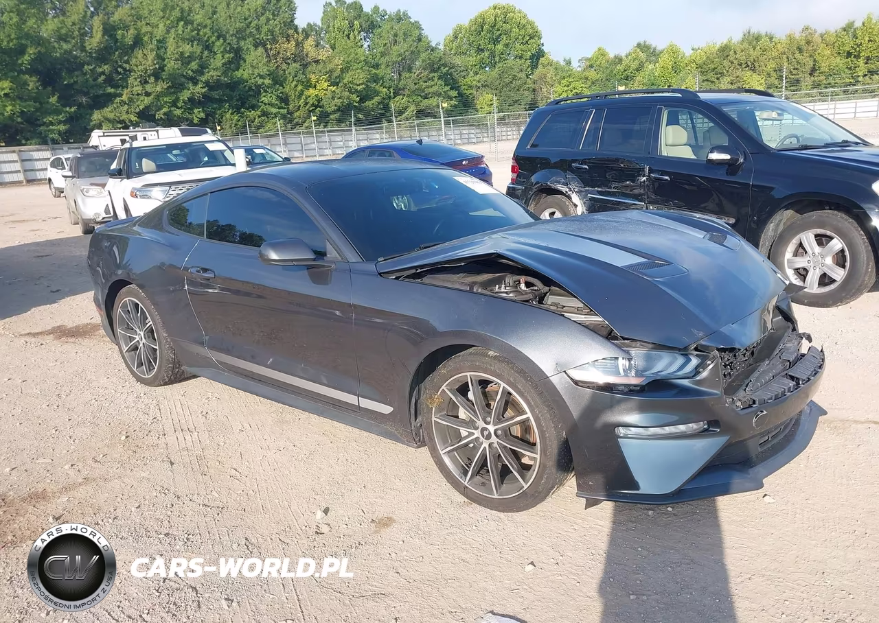 2020 Ford Mustang Ecoboost Fastback – zdjęcie 1 z 16