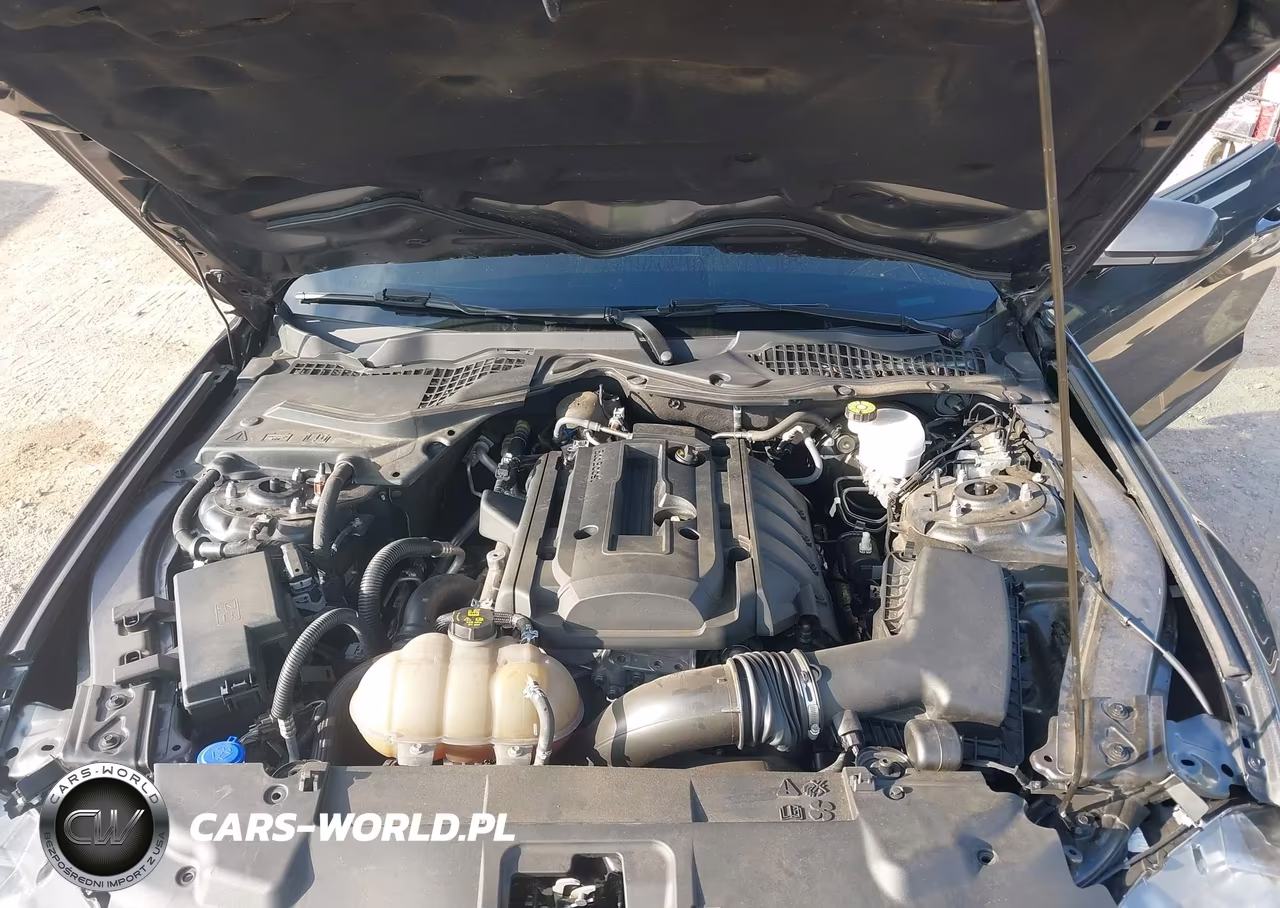 2020 Ford Mustang Ecoboost Fastback VIN:1FA6P8TH6L5129069 - 10