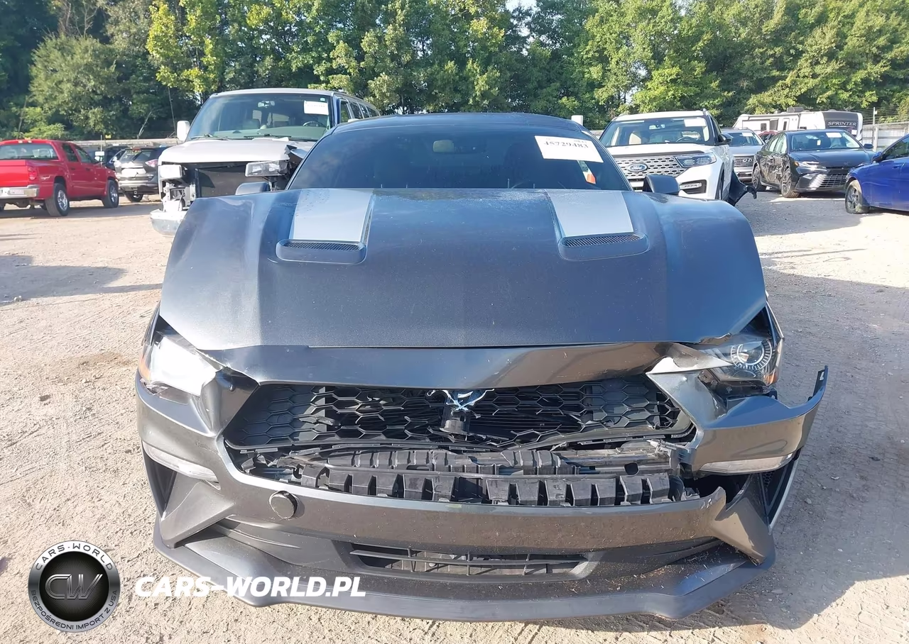 2020 Ford Mustang Ecoboost Fastback VIN:1FA6P8TH6L5129069 - 12