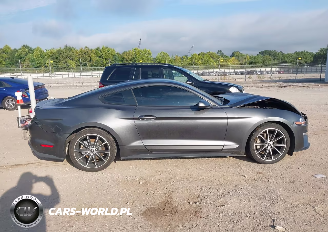 2020 Ford Mustang Ecoboost Fastback VIN:1FA6P8TH6L5129069 - 13