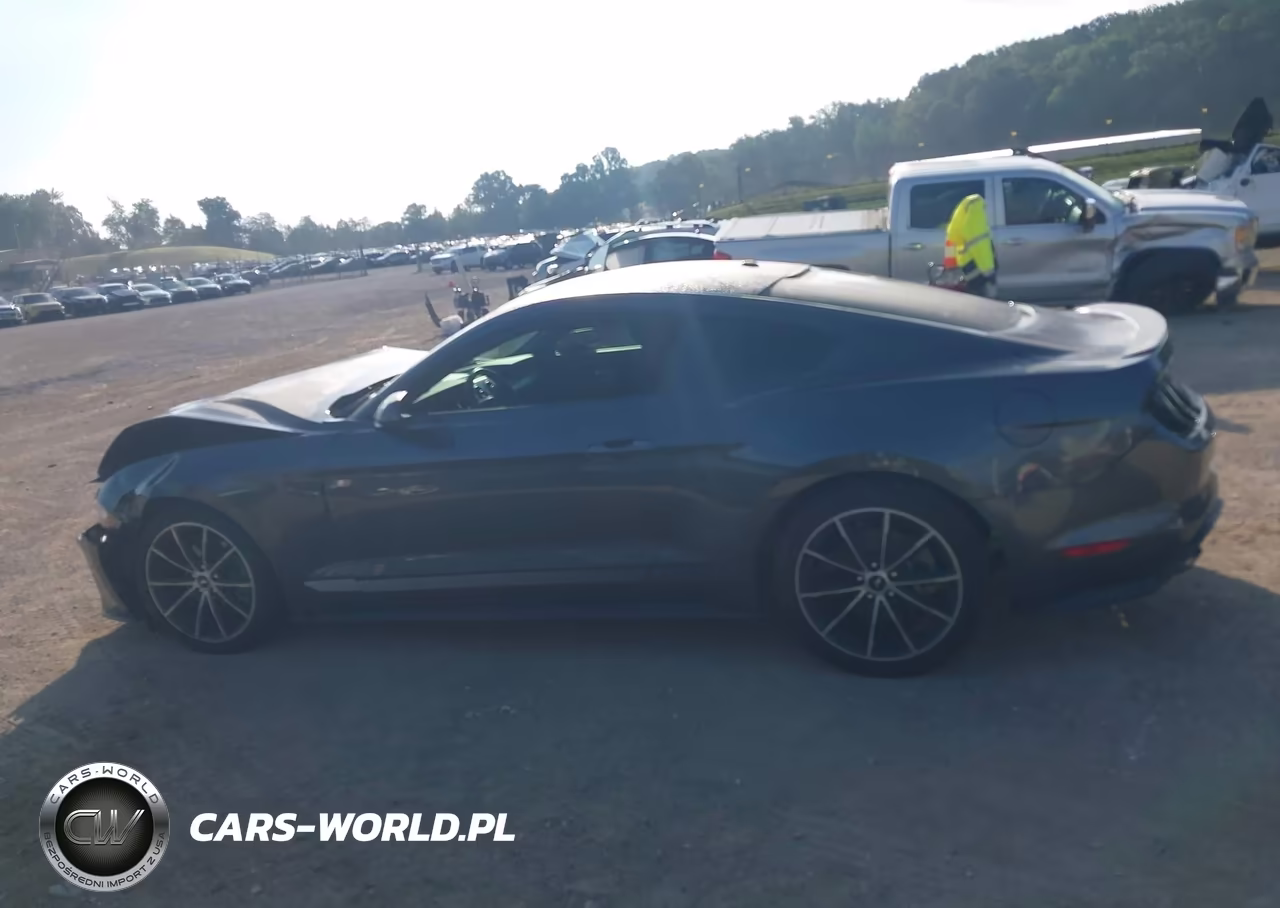 2020 Ford Mustang Ecoboost Fastback VIN:1FA6P8TH6L5129069 - 14