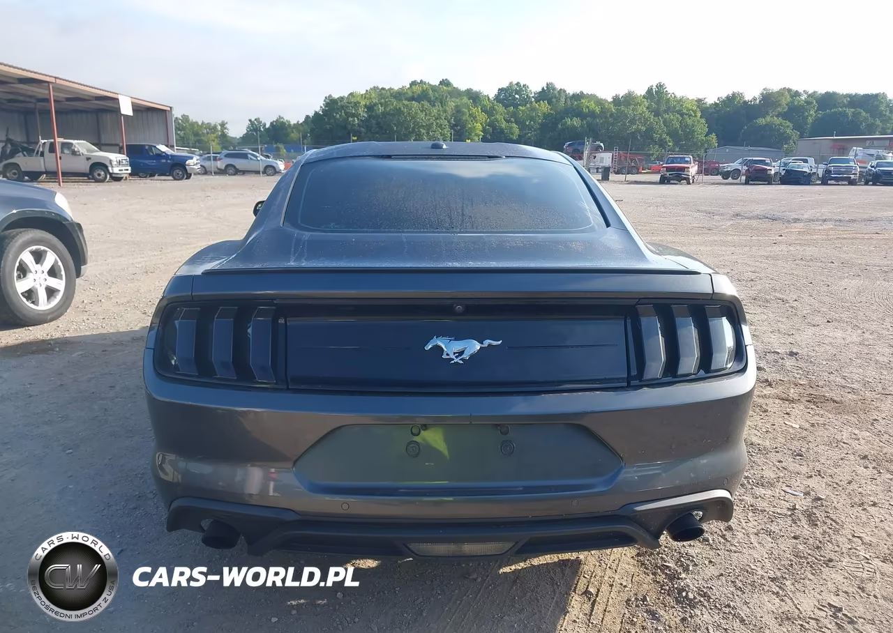 2020 Ford Mustang Ecoboost Fastback VIN:1FA6P8TH6L5129069 - 16