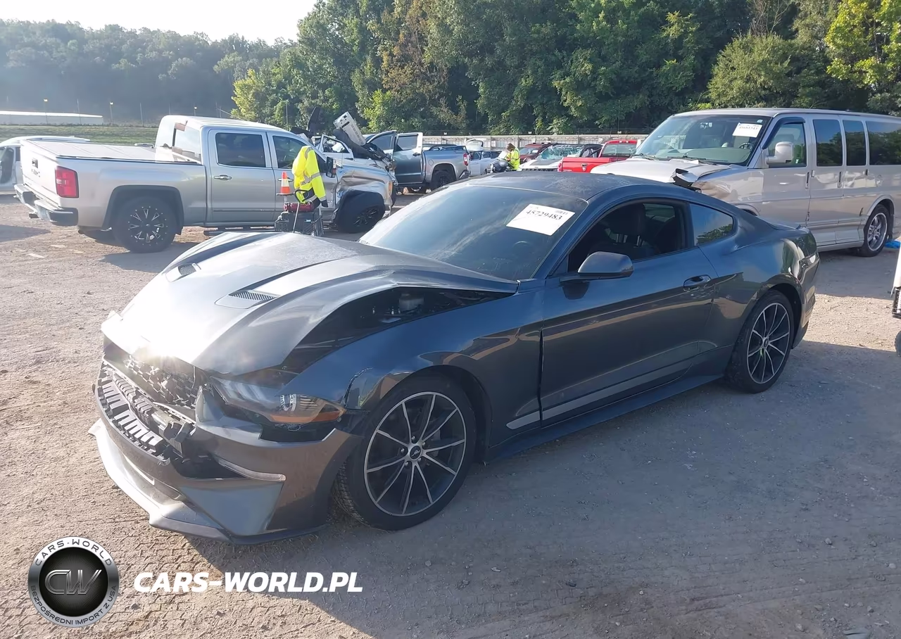 2020 Ford Mustang Ecoboost Fastback VIN:1FA6P8TH6L5129069 - 2