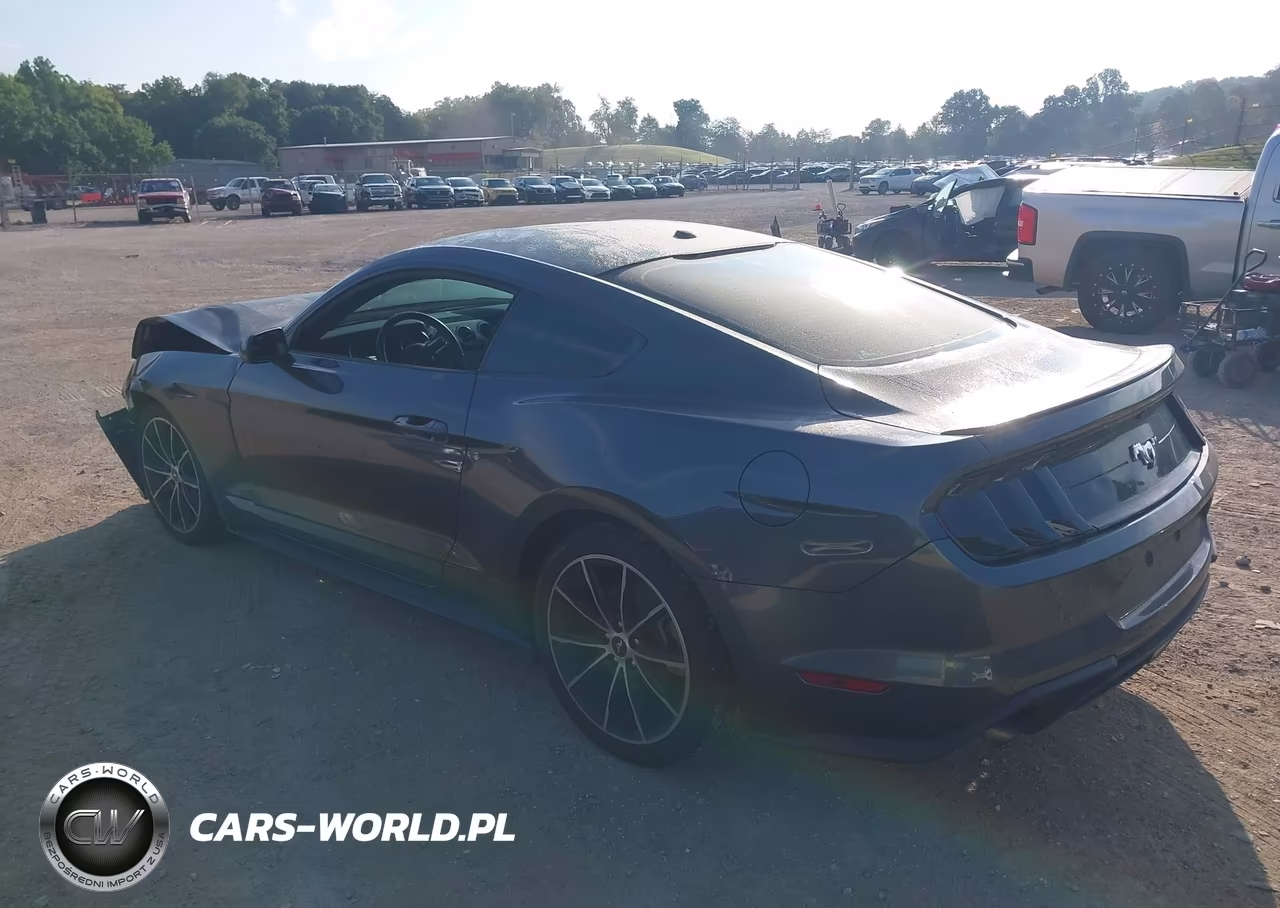 2020 Ford Mustang Ecoboost Fastback VIN:1FA6P8TH6L5129069 - 3