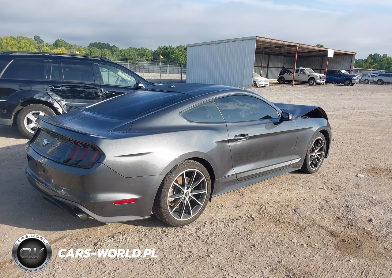 2020 Ford Mustang Ecoboost Fastback VIN:1FA6P8TH6L5129069 - 4