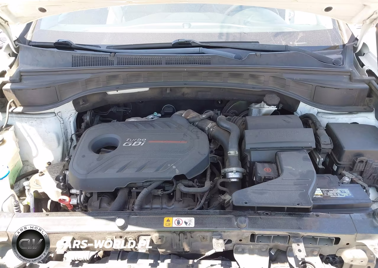 2017 Hyundai Santa Fe Sport 2.0T Ultimate VIN:5XYZW4LA2HG388906 - 10