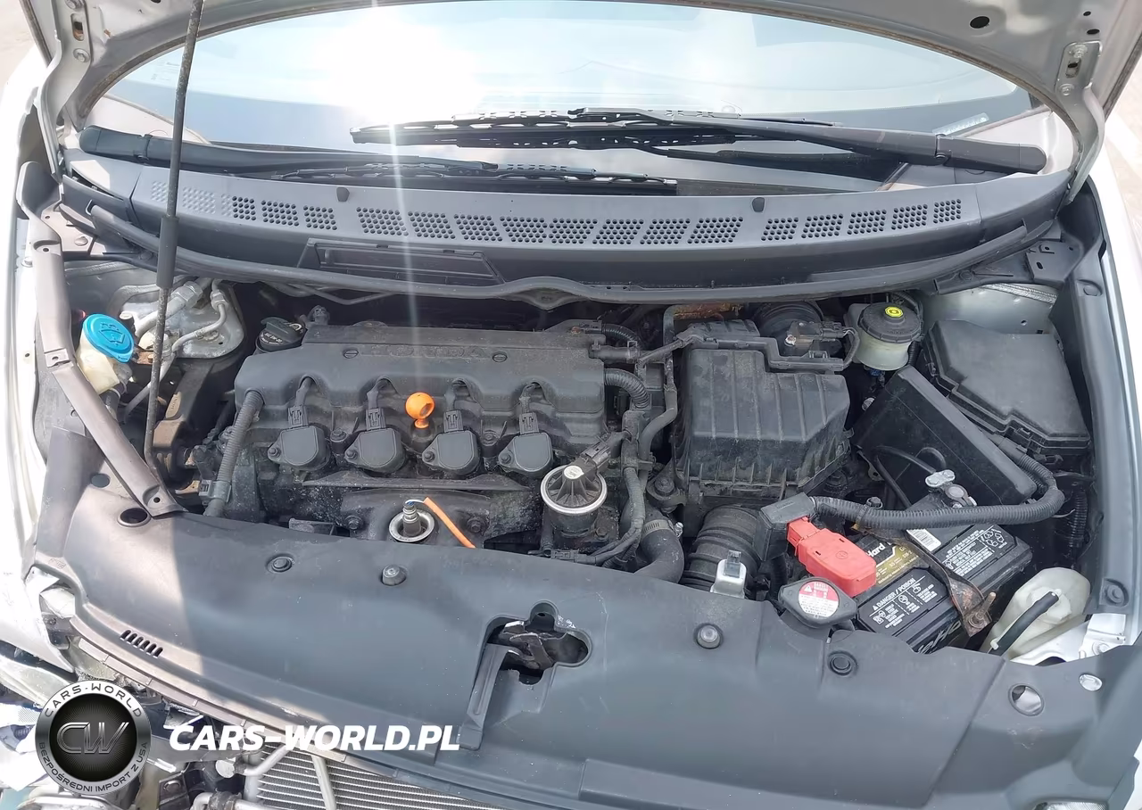 2009 Honda Civic Lx VIN:19XFA16529E013871 - 10