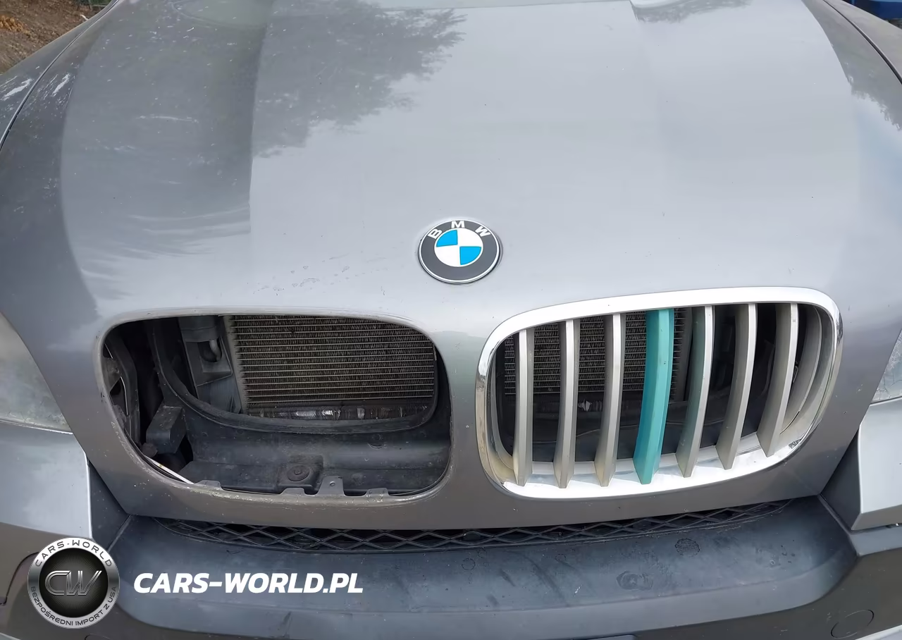 2008 BMW X5 4.8I VIN:5UXFE83558L163964 - 6