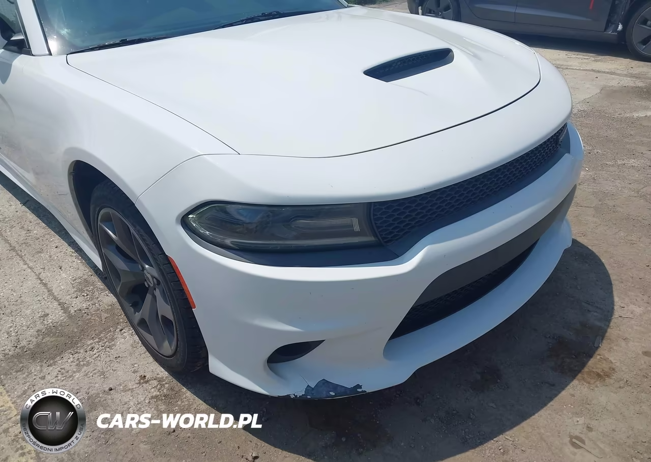 2019 Dodge Charger Gt Rwd VIN:2C3CDXHG3KH567365 - 17