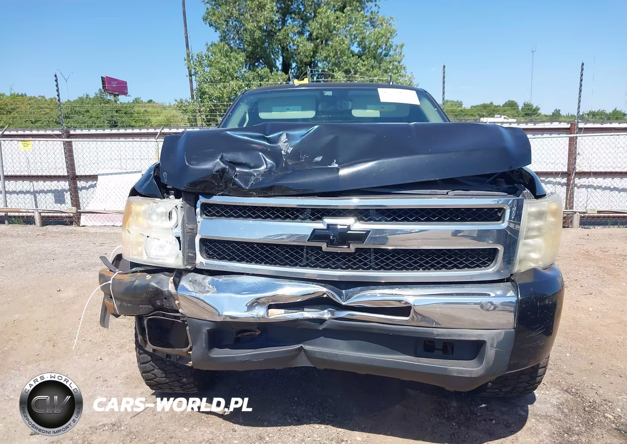 2009 Chevrolet Silverado 1500 Lt VIN:1GCEC29079Z288846 - 12