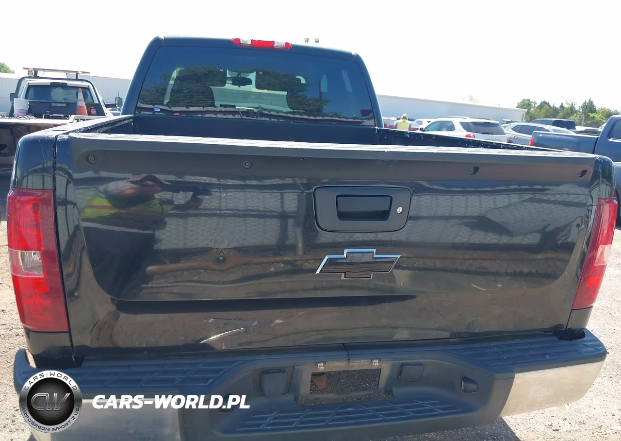 2009 Chevrolet Silverado 1500 Lt VIN:1GCEC29079Z288846 - 16