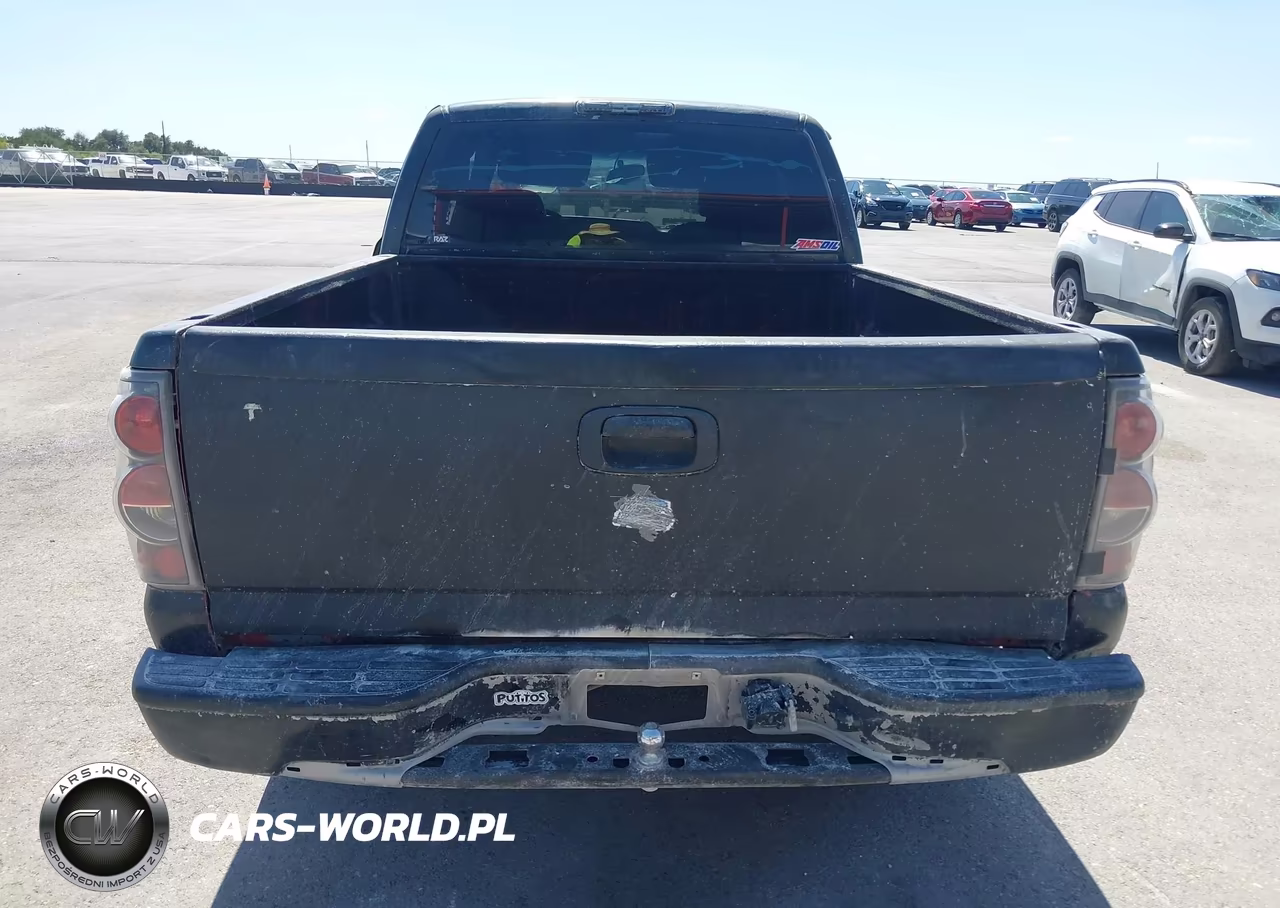 2005 Chevrolet Silverado 1500 Work Truck VIN:1GCEC19X45Z269849 - 17
