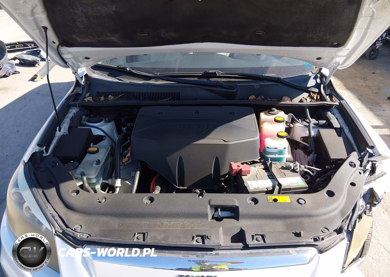 2012 Toyota Rav4 Ev VIN:2T3YL4DV4CW001224 - 10
