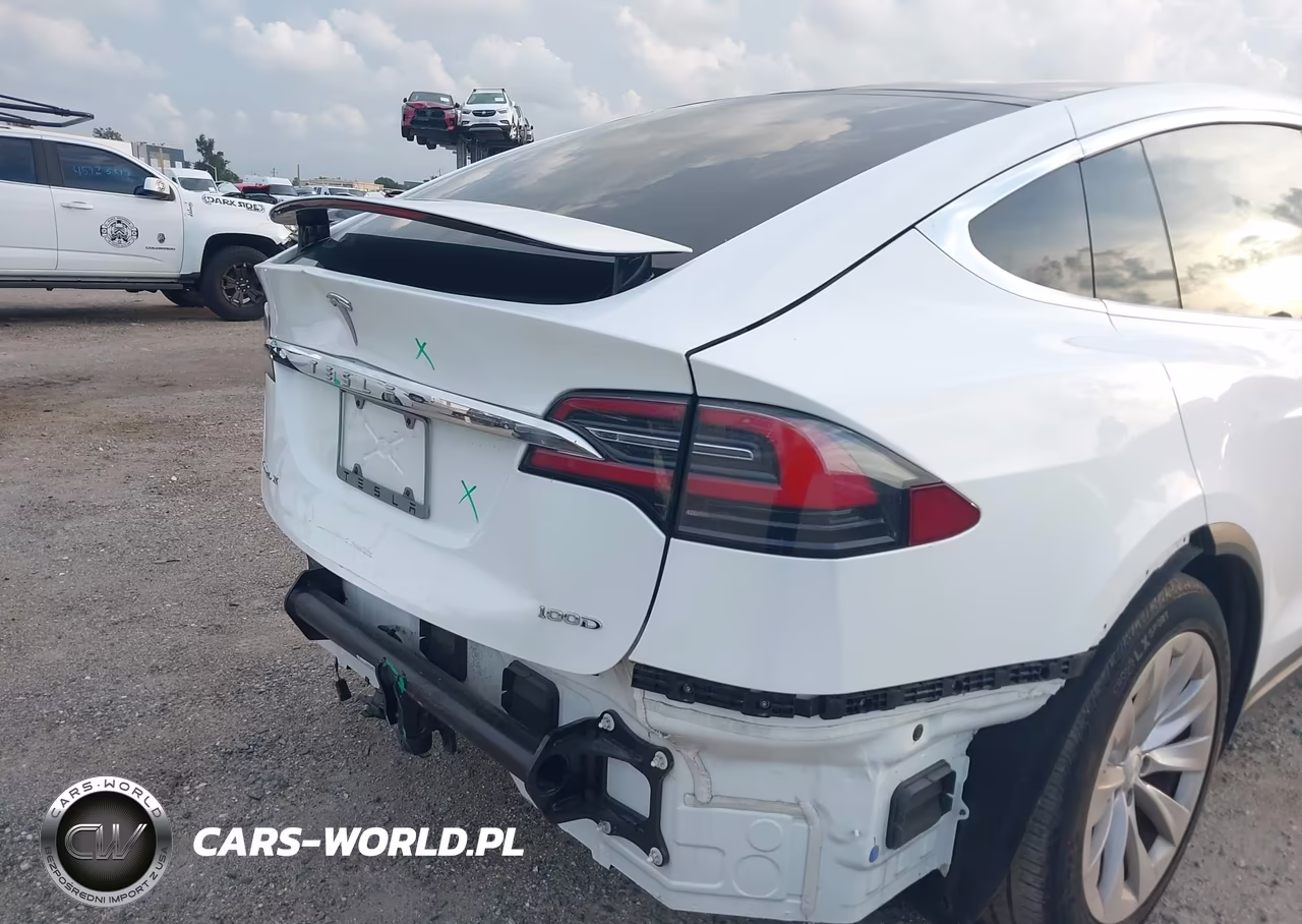 2017 Tesla Model X 100D-75D-90D VIN:5YJXCDE28HF068325 - 20