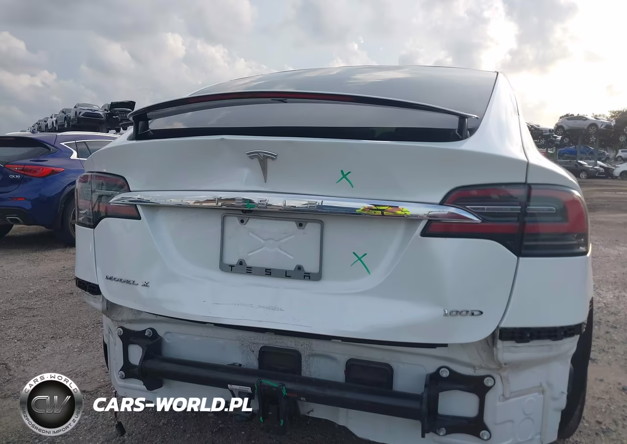 2017 Tesla Model X 100D-75D-90D VIN:5YJXCDE28HF068325 - 6