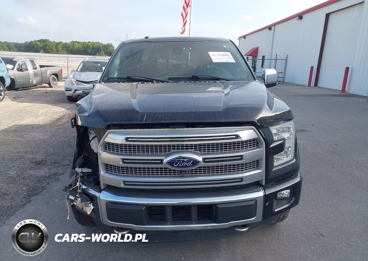 2016 Ford F-150 Platinum VIN:1FTEW1EG9GFD08355 - 13