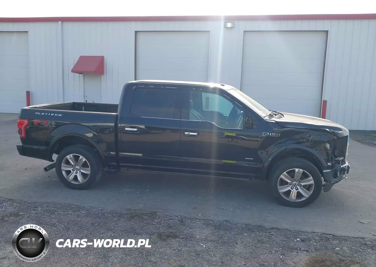2016 Ford F-150 Platinum VIN:1FTEW1EG9GFD08355 - 14