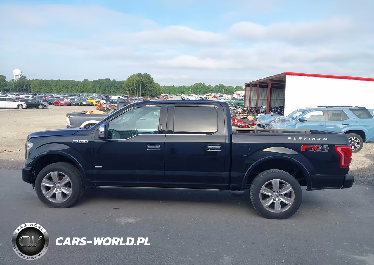 2016 Ford F-150 Platinum VIN:1FTEW1EG9GFD08355 - 15