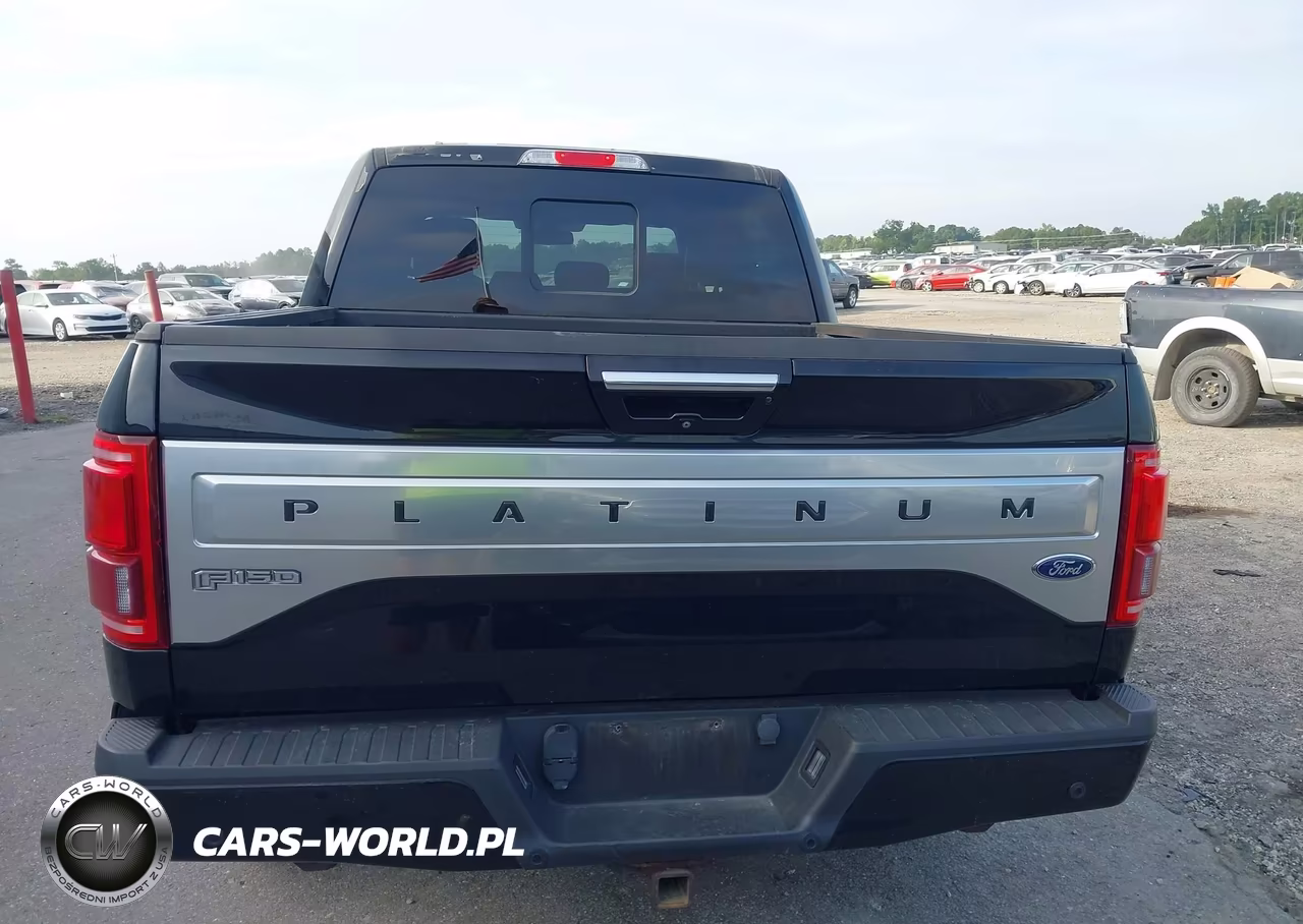 2016 Ford F-150 Platinum VIN:1FTEW1EG9GFD08355 - 17
