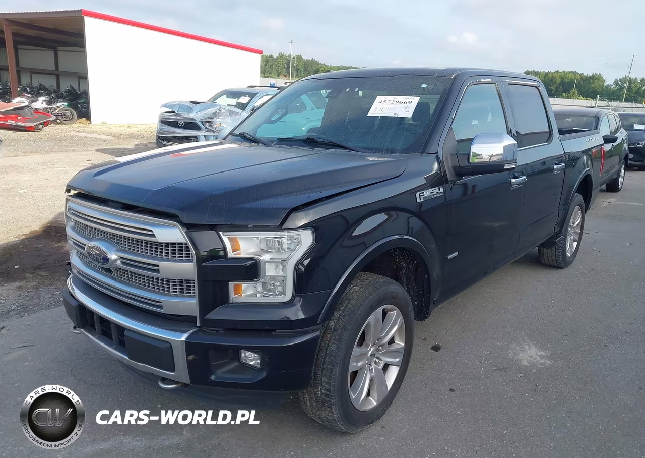 2016 Ford F-150 Platinum VIN:1FTEW1EG9GFD08355 - 2