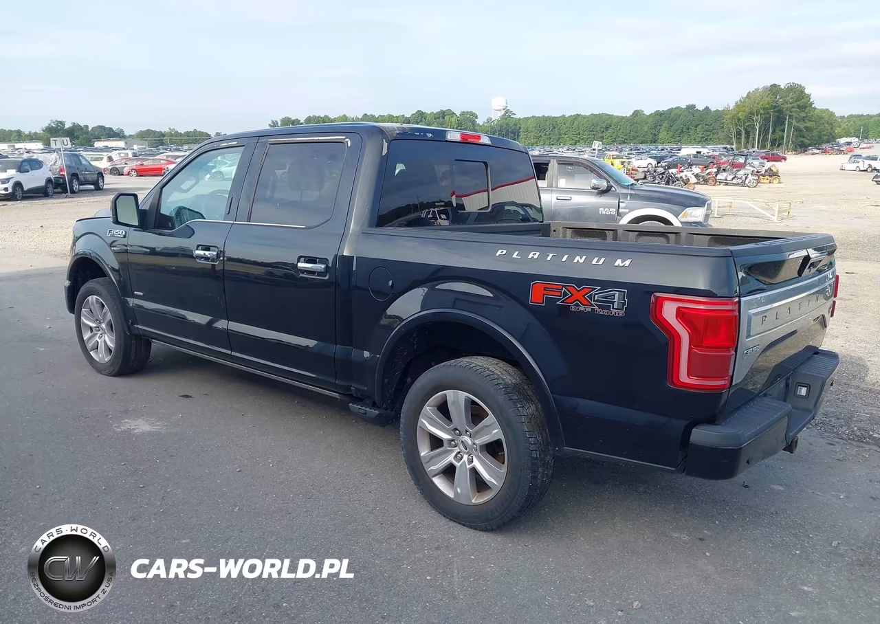 2016 Ford F-150 Platinum VIN:1FTEW1EG9GFD08355 - 3