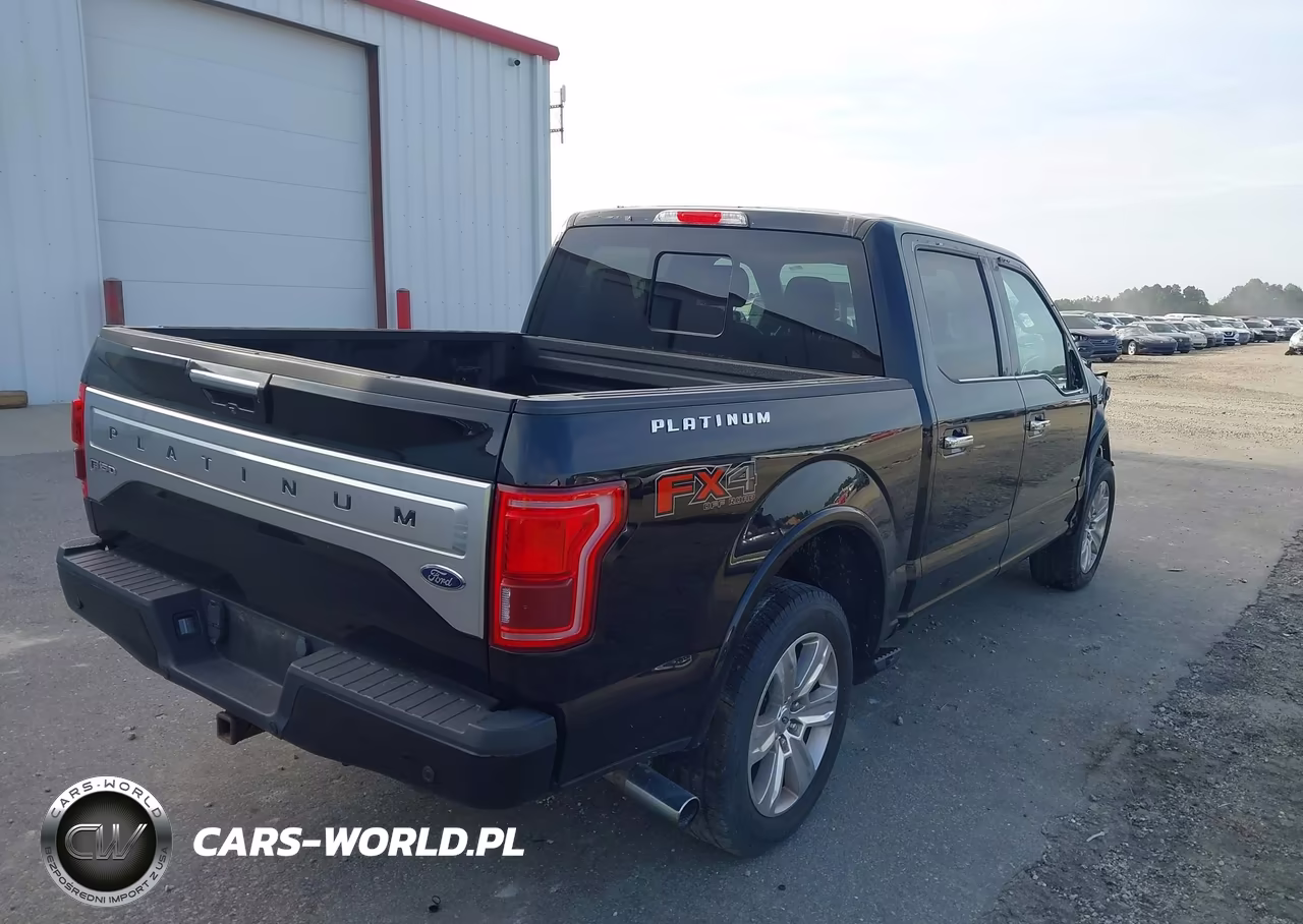 2016 Ford F-150 Platinum VIN:1FTEW1EG9GFD08355 - 4
