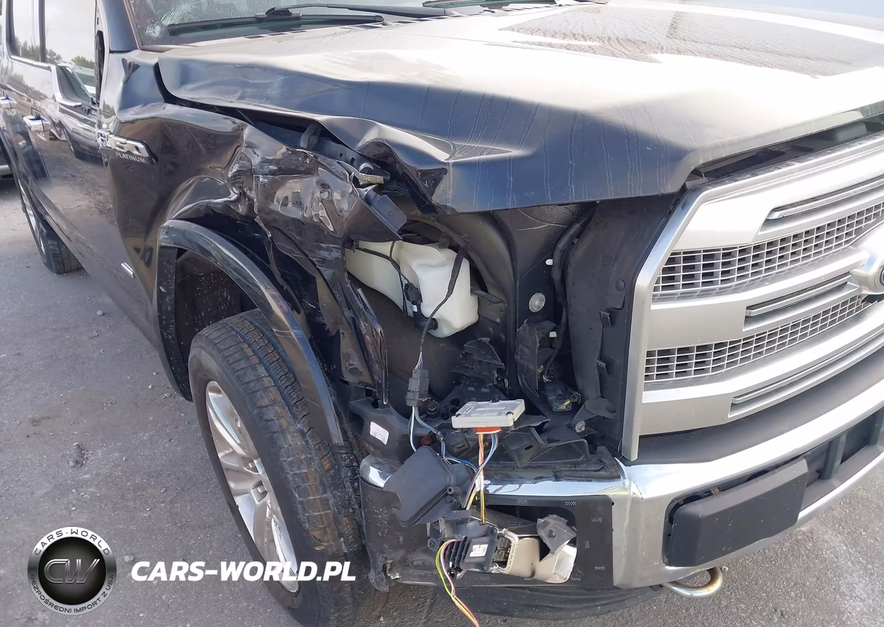2016 Ford F-150 Platinum VIN:1FTEW1EG9GFD08355 - 6