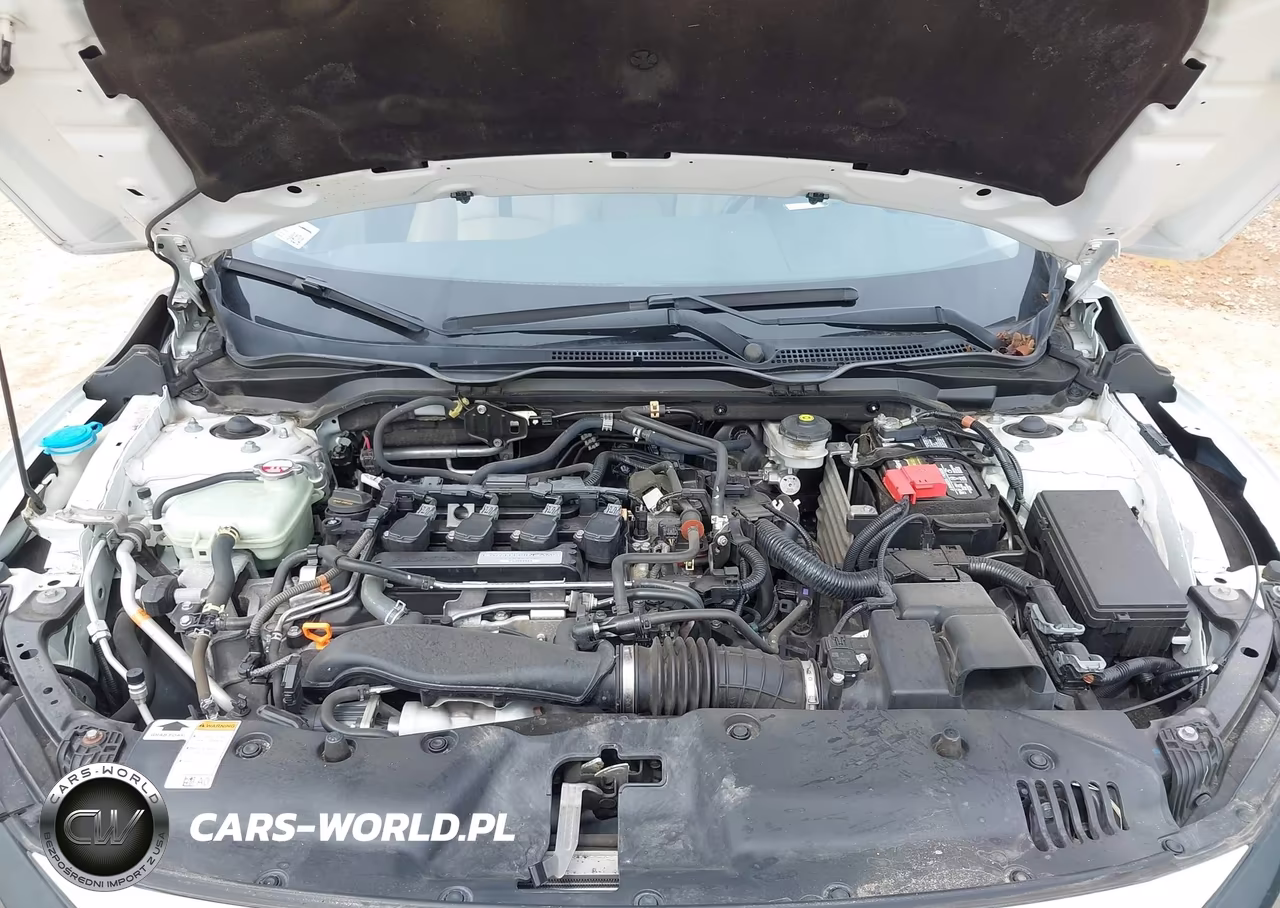2019 Honda Civic Ex-L VIN:19XFC1F72KE012124 - 10