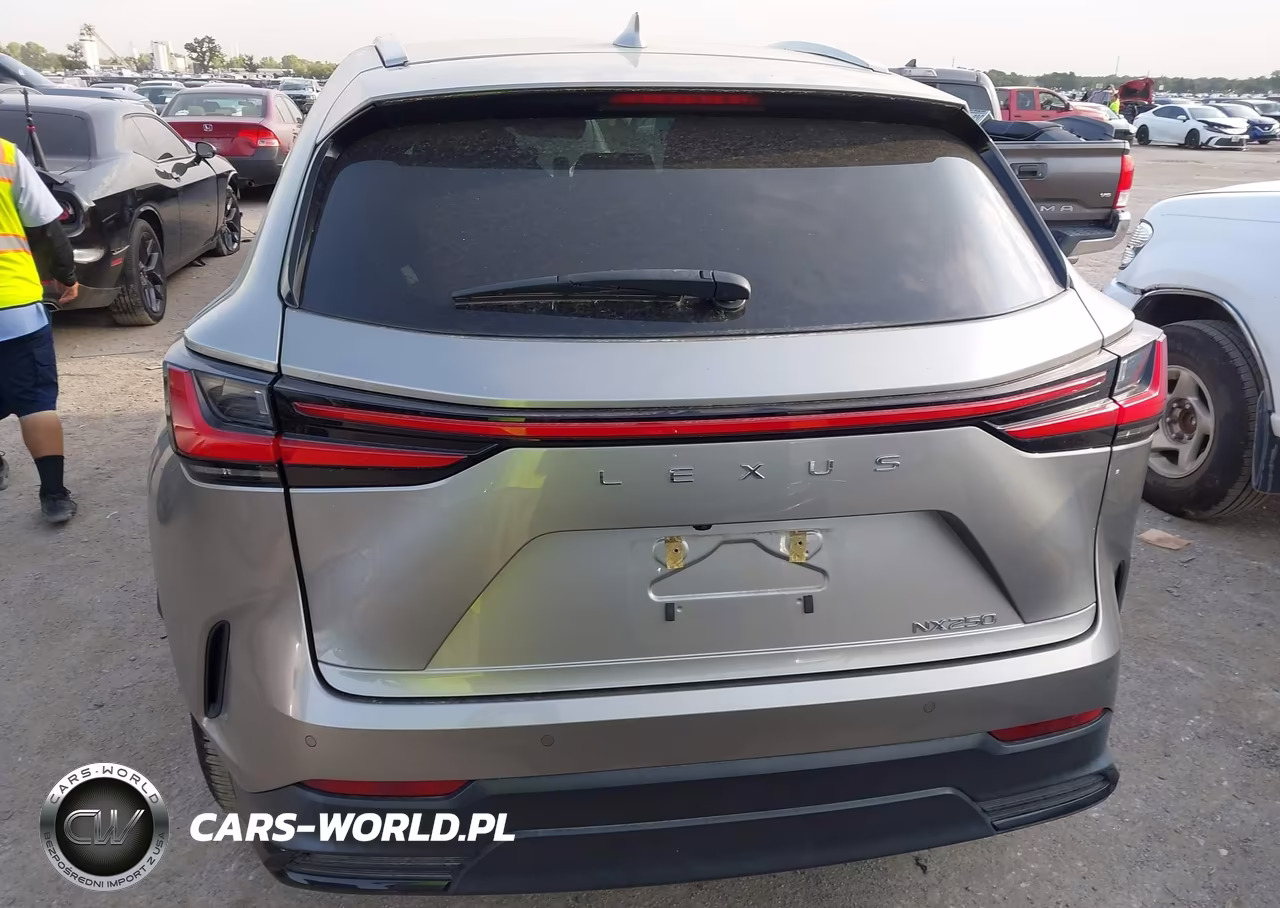 2022 Lexus Nx 250 Premium VIN:2T2GDCAZ9NC002940 - 17