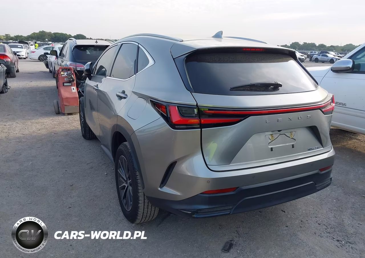 2022 Lexus Nx 250 Premium VIN:2T2GDCAZ9NC002940 - 3